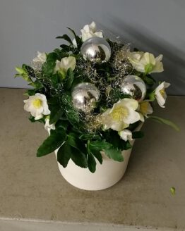WeihnachtenHoldack (3)